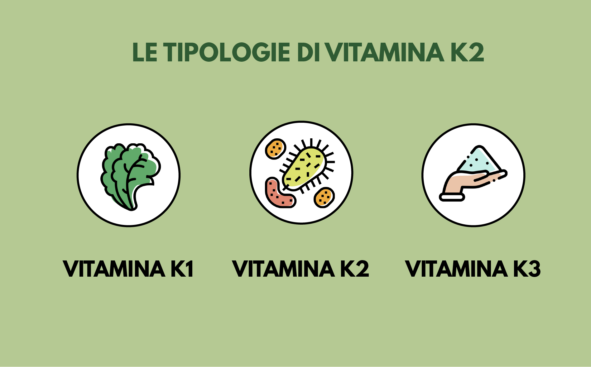 L'importanza della vitamina K: dove si trova e a cosa serve